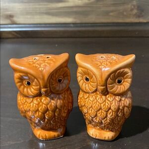 Vintage Ceramic Pair of Brown Owls Salt & Pepper Shaker Set